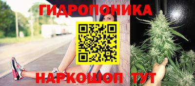 метадон Шелехов