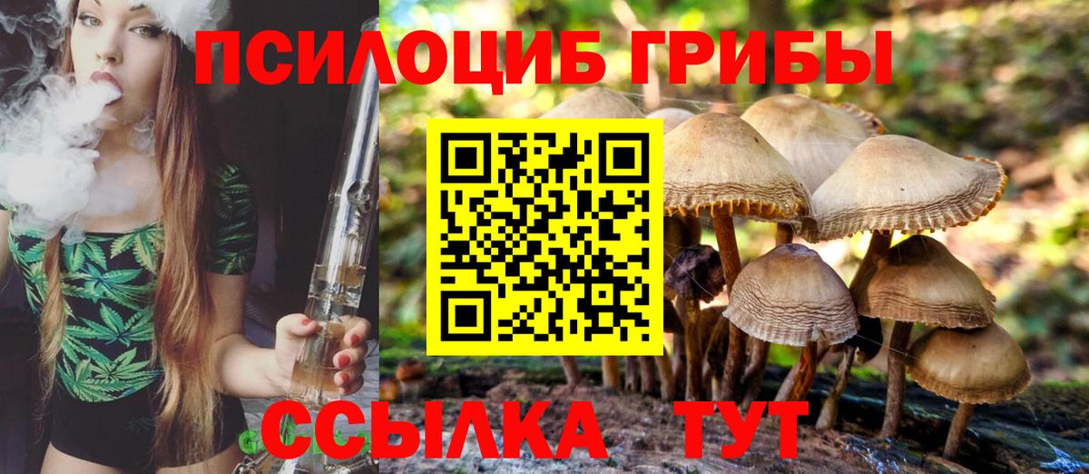 Псилоцибиновые грибы MAGIC MUSHROOMS  Вход с VPN  Псилоцибиновые грибы прущие грибы  Киров 